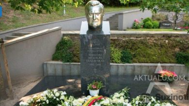 Šalia Brazausko nenori būti palaidoti ne tik kiti prezidentai, bet ir našlė Kristina: Nustebsite sužinoję kodėl 7 brazauskas
