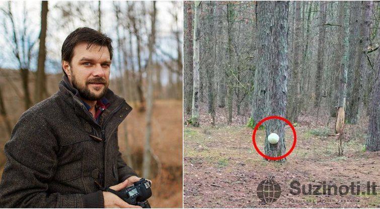 Išvydęs vaizdą miške kaunietis negalėjo patikėti savo akimis: to nebuvo matęs 1 miske
