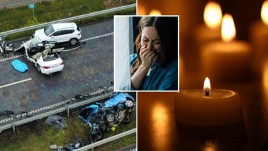 Molėtų plente Lolitos vyrą 93-ejų lietuvis pražudė jos akyse: išvysto kraupaus vaizdo nepamirš amžinai 5 moletu