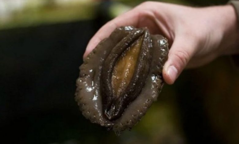 Greitai išmeskite! Šis produktas sukelia vėžį ir yra laikomas kiekviename šaldytuve! 1 produktas