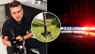 Žiauriai sumušto ir gyvo užkasto Gauso istorija šokiravo Paulių Morkūną: išklojo, kas vyksta Lietuvoje 2 gausas