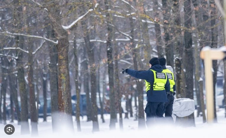 Mįslingomis aplinkybėmis be žinios dingusi 28-erių kaunietė rasta Marijampolės savivaldybės miške 1 mergina