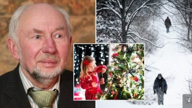 Jau žino, kokie orai laukia per šv. Kalėdas: viską parodė pati gamta 3 orai